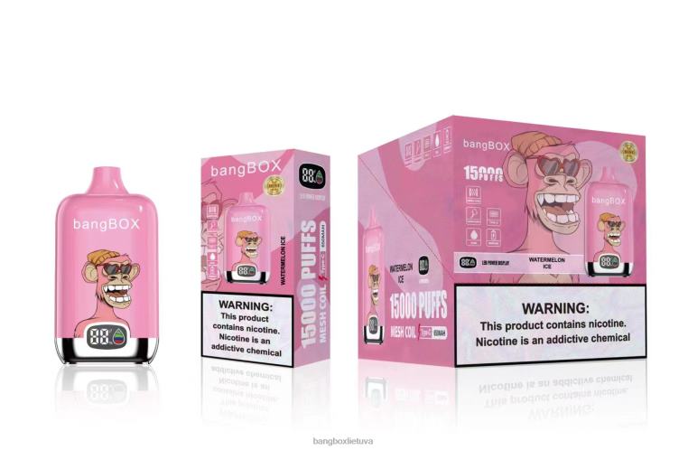 Bang Box Vape Price 4N8XZ45 arbūzų ledas | Bang Box 15 000 įkvėpimų